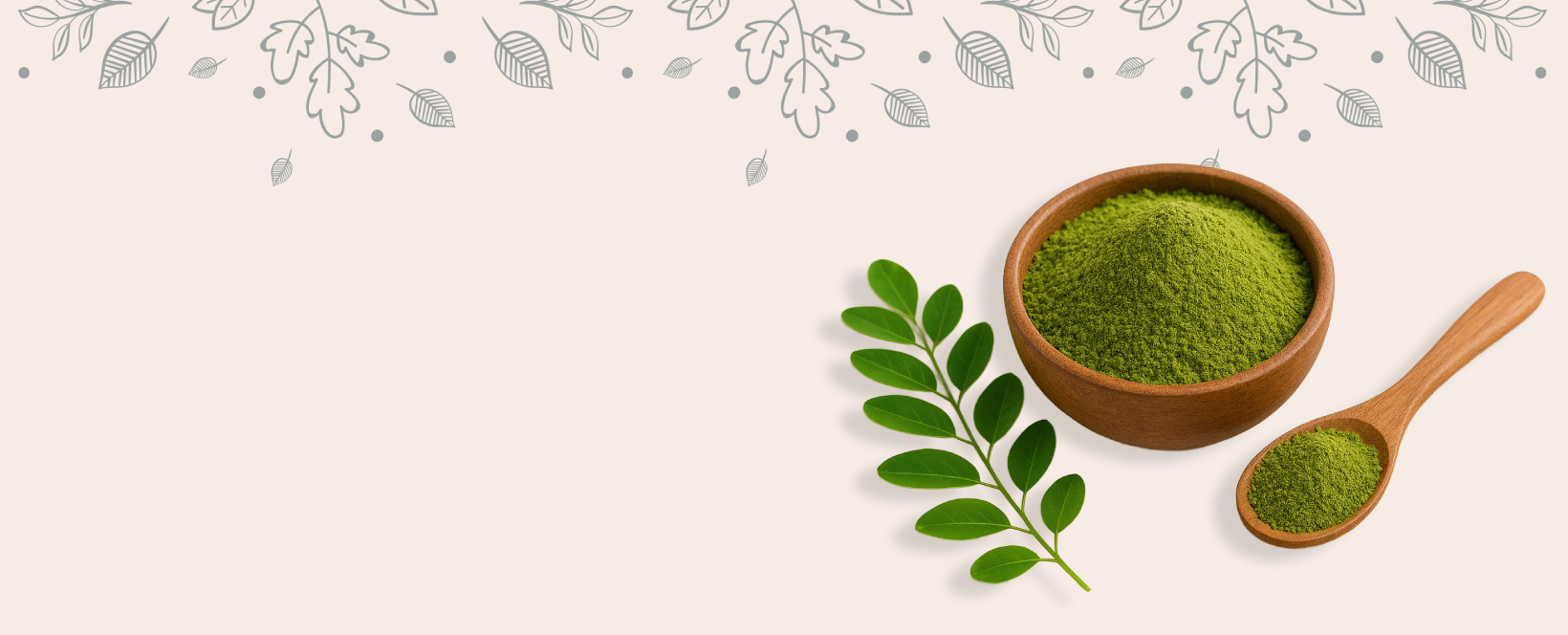 Skanveda Moringa Powder